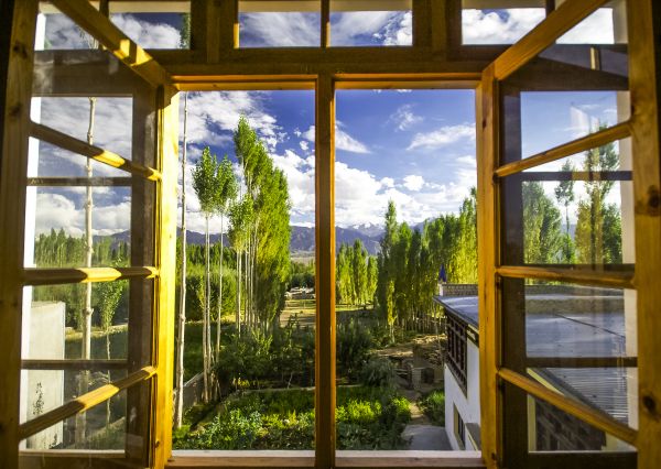 Wood Window Replacement in Oroville