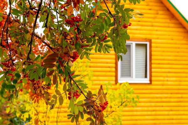 Garden Window Replacement in Oroville